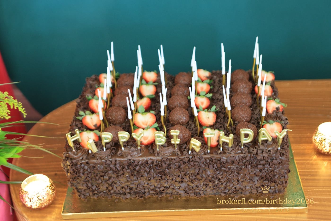 Chocolate birthday cake topped with candles — Karina Leal's birthday, October 4, 2026.